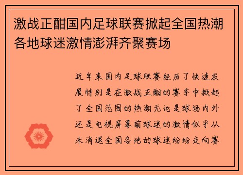 激战正酣国内足球联赛掀起全国热潮各地球迷激情澎湃齐聚赛场